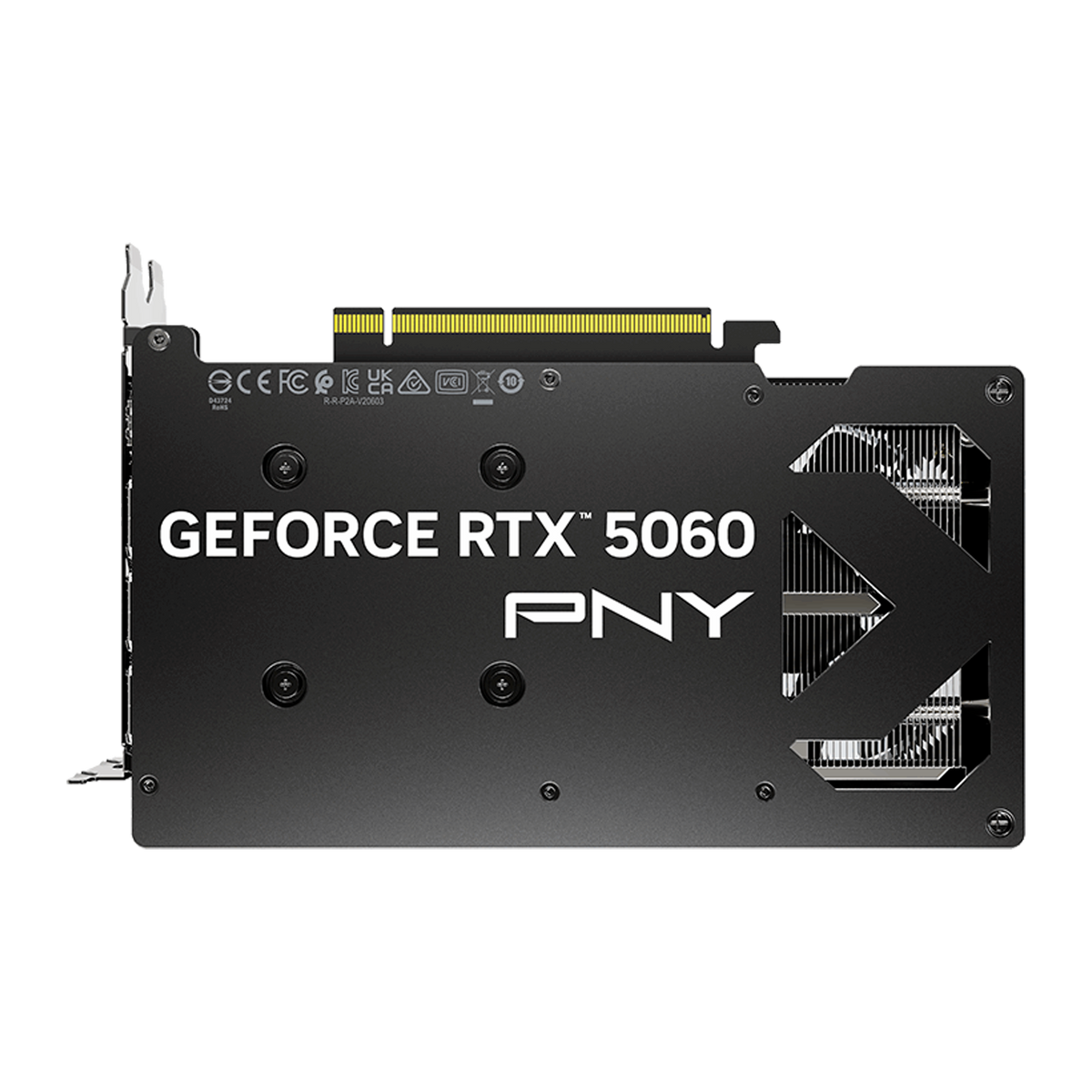 TARJETA DE VIDEO PNY RTX 5060 8GB